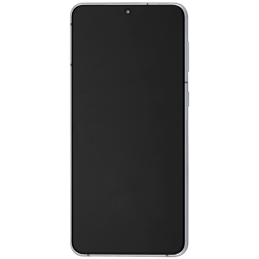 aftermarket-oled-display-with-frame-for-samsung-galaxy-s21-plus-5g-premium-phantom-silver_33194.png